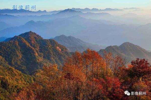 天津最美紅葉地圖來了！錯過等一年！