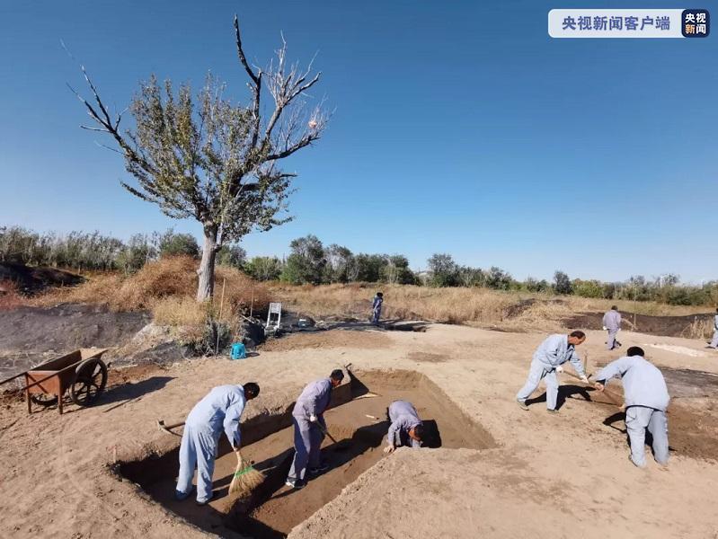 天津考古勘探發(fā)現(xiàn)古代墓葬近900處 為運河文化提供實證