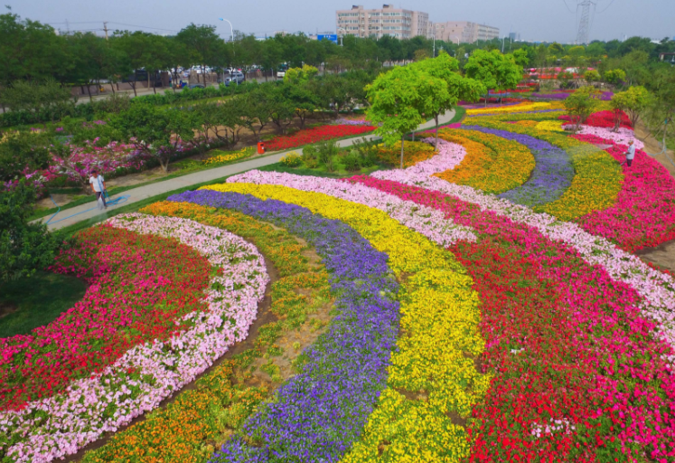 花草看個夠，四季美如畫！濱海新區(qū)這座后花園你打卡了嗎