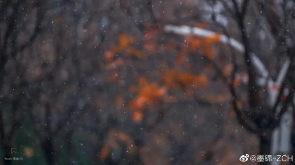 天津初雪來了！還有這些暖心暖胃好消息！