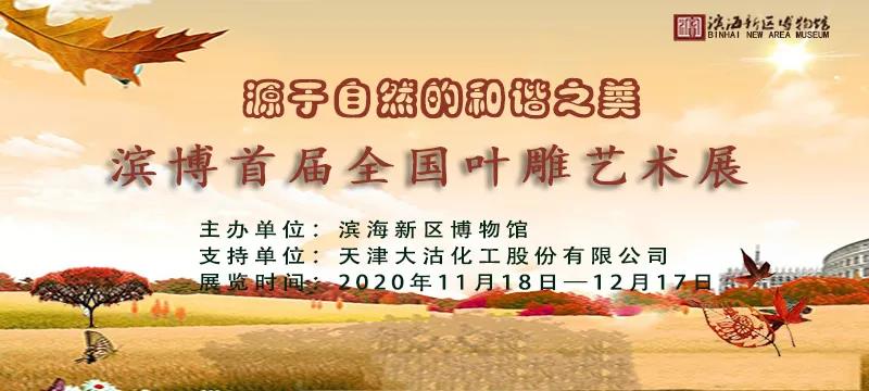 太美了！濱海新區(qū)博物館首屆全國葉雕藝術(shù)展開展啦！