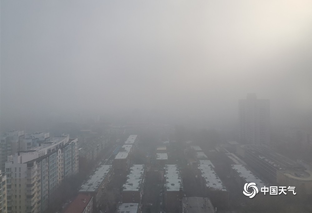 今晨天津大霧鎖城 建筑“隱身”