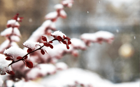 天津迎來今冬初雪！這里暴雪藍色預警！還有這些事要注意……