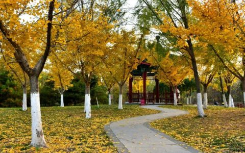 天津又添一座親水公園，秋天真是美翻了！一定要去看一看