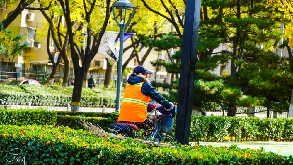 街拍秋天的北京街頭，秋意來臨時的生活