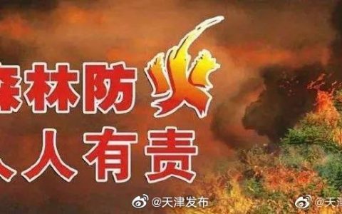 天津不斷提升森林防火能力 保持無(wú)重大森林火災(zāi)良好態(tài)勢(shì)