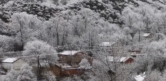 北京下雪了，天津的雪還遠(yuǎn)嗎？很快