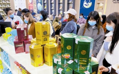 天津茶博會拉開帷幕 市民茶消費越來越多元化