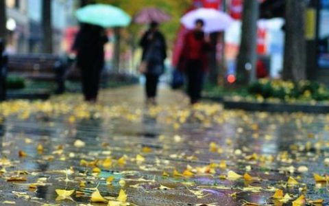 冷空氣攜風(fēng)帶雨抵津 今日大風(fēng)降雨氣溫迅速下降