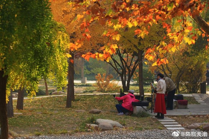 津門新地標！深秋的河東公園真的好美~