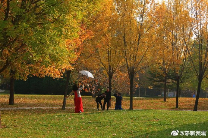 津門新地標！深秋的河東公園真的好美~