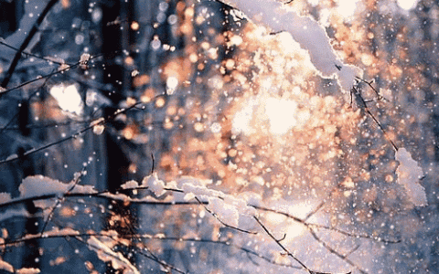 今日大雪！這些“長(zhǎng)壽”食材一定要吃！