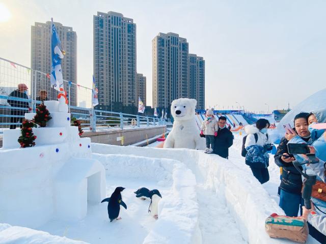 一起來(lái)嗨！天津海昌第八屆極地冰雪節(jié)正式啟幕