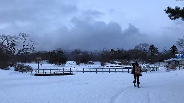 緊急提醒！“大風(fēng)”馬上到！天津氣溫降至……