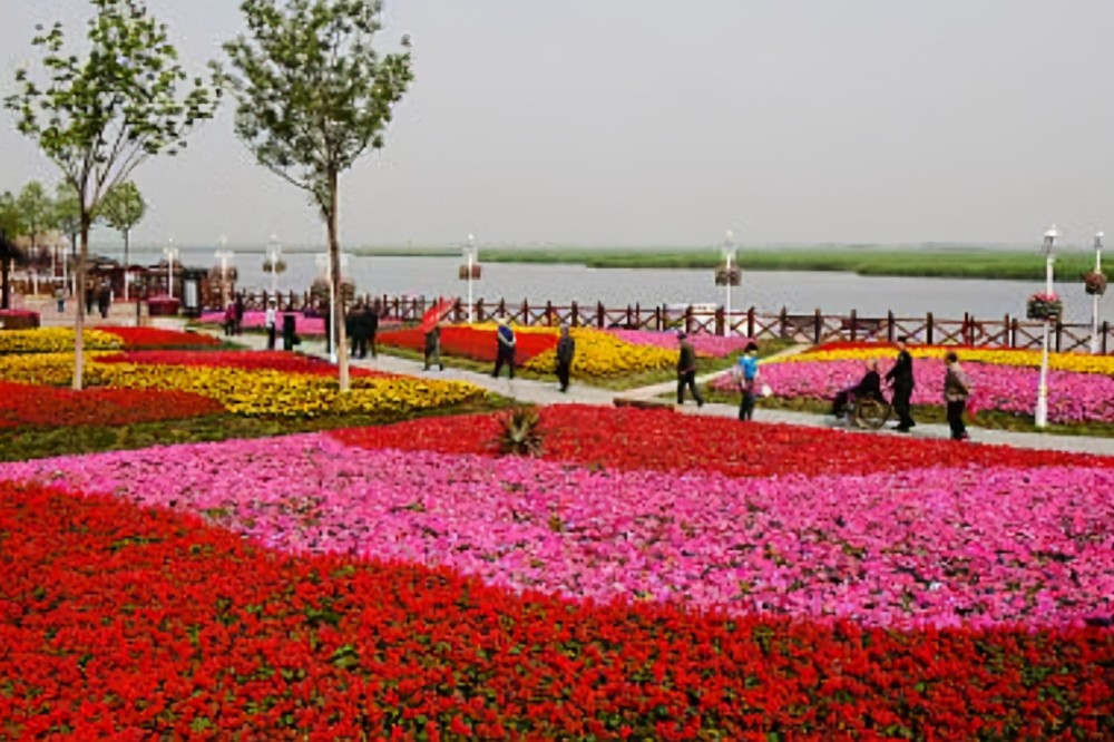 天津摘牌公園“走紅”，人稱津沽“明珠”，現(xiàn)今游客來往不斷