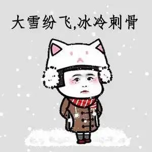 三級響應(yīng)！大風(fēng)呼嘯！凍手凍腳！天津還要下雪嗎？