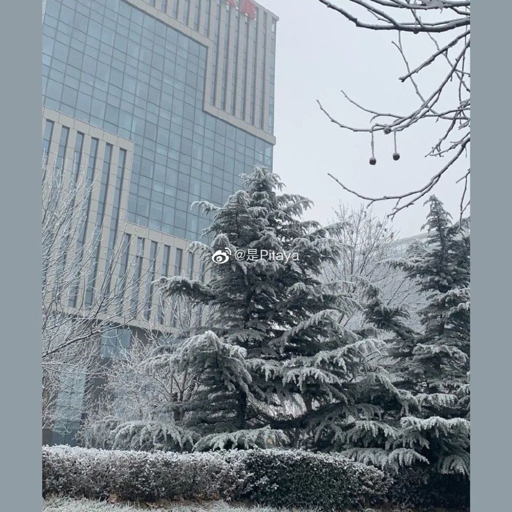 亦雪亦霜？天津下的其實(shí)是……