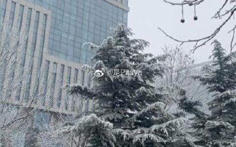 濱海人，今天最高氣溫-1℃！冷！