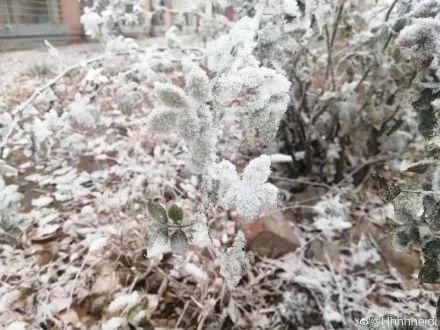 天津今天下雪了？重頭戲還在后面！