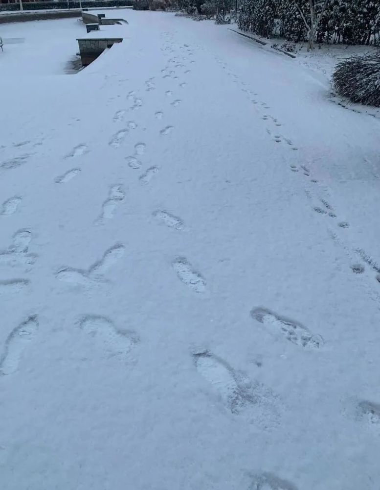 “雪姑娘”如約而至！濱海新區(qū)發(fā)布道路結(jié)冰黃色預(yù)警