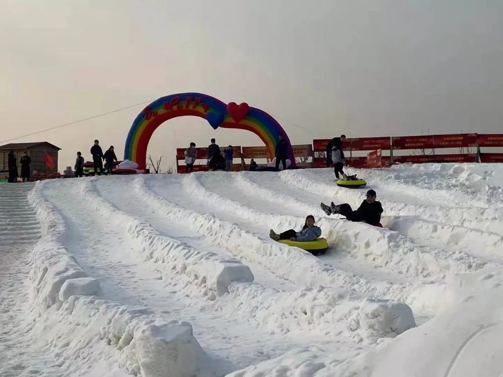 放假嘍！“神獸們”來西青坐雪橇 游冰雪世界吧......