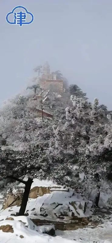 雪？原來(lái)都下在這兒了！本周津城還有一次大幅降溫！