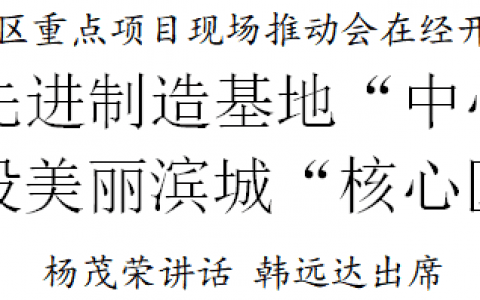 天津?yàn)I海新區(qū)重點(diǎn)項(xiàng)目現(xiàn)場推動(dòng)會(huì)在經(jīng)開區(qū)召開