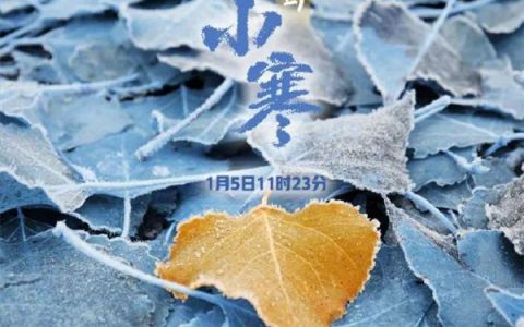 -20℃＋9級(jí)大風(fēng)！天津今年首個(gè)寒潮來了！