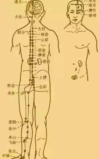 “三九”來了！注意這些今年少生??！