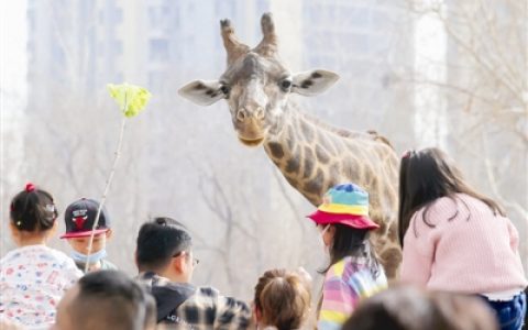 走！去動(dòng)物園看動(dòng)物