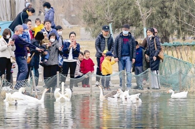 走！去動物園看動物