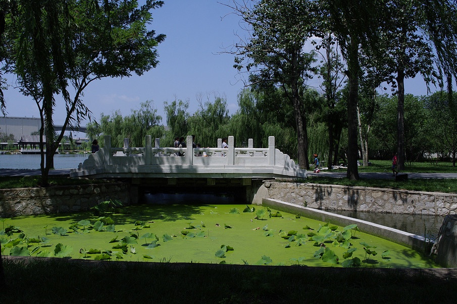 天津一公園被“4A”砸中，被稱天津“后花園”，門(mén)票免費(fèi)地鐵直達(dá)