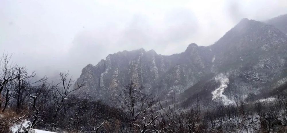 牛年的第一場雪，喚醒了薊州“梨木臺”