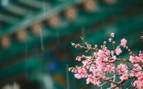 今日雨水，天津氣溫迎新變化！