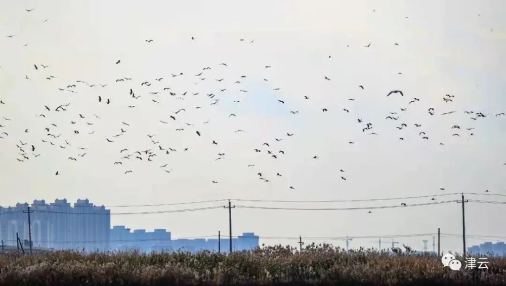 ＠天津人，這筆錢(qián)這樣補(bǔ)！