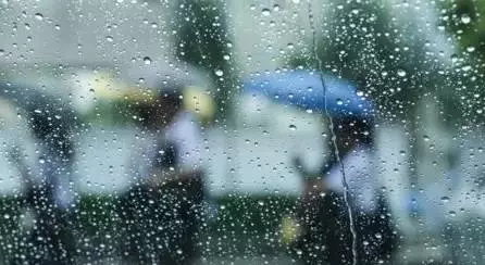 @天津人，帶傘了嗎？雨要來了！