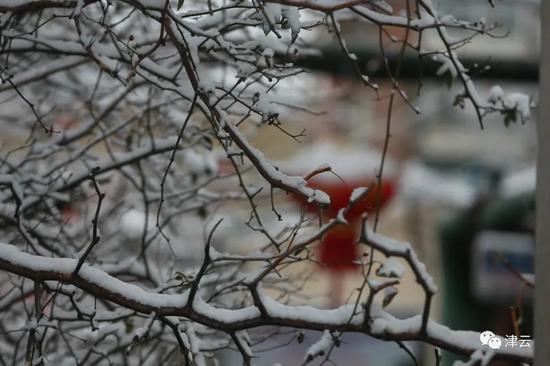 天津雪景圖新鮮到貨！路面情況如何?高速、機場受影響嗎?