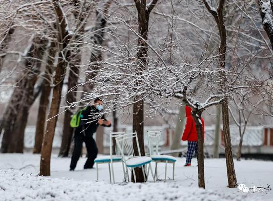 天津雪景圖新鮮到貨！路面情況如何?高速、機場受影響嗎?