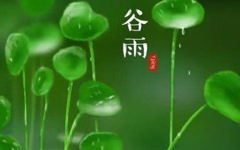 今日谷雨，吃什么又講究又健康又養(yǎng)生？天津人愛(ài)吃這口！