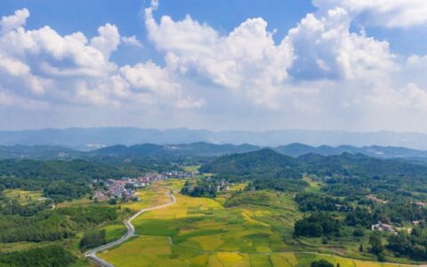 天津市河東區(qū)聚焦文旅產(chǎn)業(yè)助力打造扎尕那“最美鄉(xiāng)村”